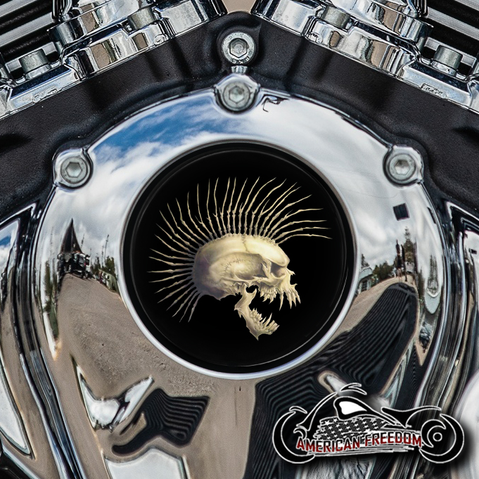Indian Thunder Stroke Cam Insert - Mohawk Skull